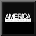 White Gold America Pin