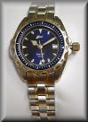 Closeout Ladies Two Tone Sea Pearl Diver Watch Stainless Steel